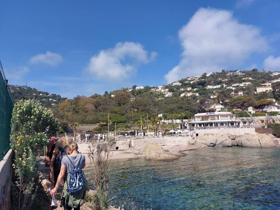 Charmant Mazet - Plage A Pied Saint-Peïre-sur-Mer Eksteriør billede