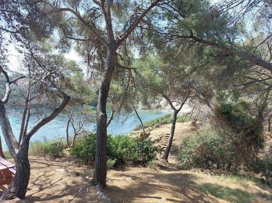 Charmant Mazet - Plage A Pied Saint-Peïre-sur-Mer Eksteriør billede